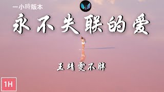 王靖雯不胖 - 永不失联的爱 (原唱 : 周兴哲)【 一小時版本】『你给我，这一辈子都不想失联的爱。』1hour