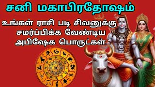 சனி மகாபிரதோஷம் 2025 /உங்கள் ராசிப்படி சிவனுக்கு சமர்ப்பிக்க வேண்டிய அபிஷேக பொருட்கள் /ஆன்மீக தகவல்