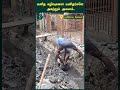 Making workers clear the sewage line with bare hands  | Oneindia Tamil