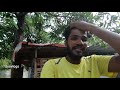 1000 രൂപമുതൽ 100000 രൂപവരെ ഉള്ള dog നെ കാണാം jyovlogs dog sale kerala