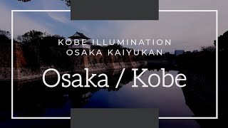 Osaka Aquarium and Kobe Daytrip