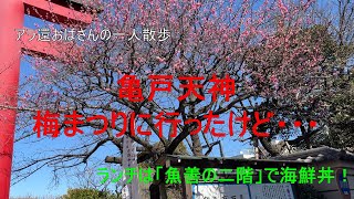 【アラ還おばさんの一人散歩】亀戸天神の梅まつりで梅を愛で、「魚善の二階」でコスパ最強の海鮮丼に舌鼓