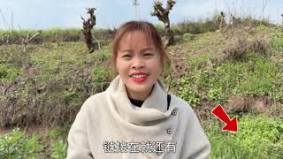 哥嫂刚回家王小川就和圆子争了起来，场面瞬间尴尬，儿子的反应真暖心#农村生活 #津贴