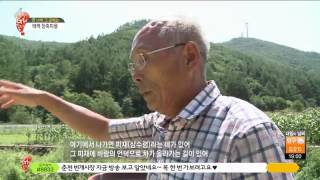 오감충전G1이좋다 김PD의 산너머 그곳에는 -태백 창죽마을