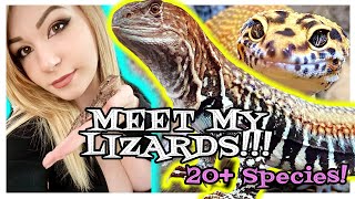 I'M DANIELLE AND THESE ARE MY LIZARDS!