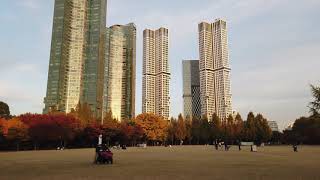 서울숲의 가을(Autumn of Seoul Forest,Seoul,Korea)