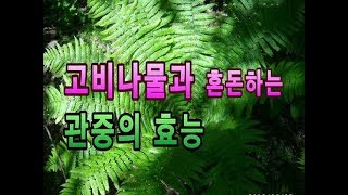 고비나물과 헷갈리는 독초!! 기능성 화장품 원료인 관중의 다양한 효능 정보.