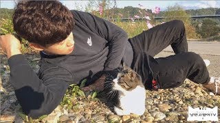 당신이 밥주는 길고양이는 어디에 속하나요?Even stray cats have different personalities.