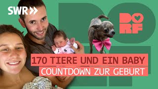 Baby Lou is coming: the animal rescuers become parents | DORFMENSCHEN