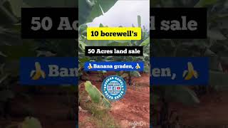 50 Acres land for sale || 10 borewell available || 5 Acres garden 🏡