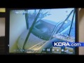 car smashes through yogurt shop