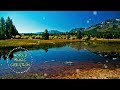 輕音樂 腦部釋放多巴胺 入眠、放鬆、舒緩、休息【1小時】 relaxing music soothing music