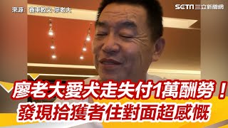 廖老大愛犬走失付1萬酬勞！ 發現拾獲者住對面超感慨│政常發揮