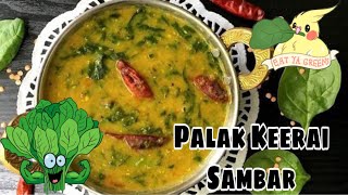 Palak Keerai Sambar recipe in Tamil!