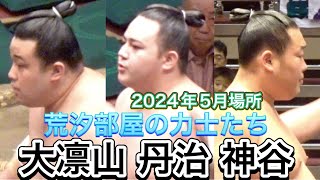 荒汐部屋の力士たち② 寛龍 常川 大凛山 神谷 大賀 丹治【2024年5月場所】 rikishi of arashio stable ②