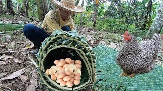 Primitive Technology: Making Chicken Nest House Using Coconut Leaves