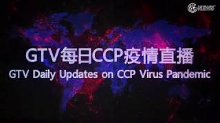 猫爷转发传播GTV郭文贵CCP冠状病毒疫情报道：牡丹江疫情渐重，特警镇压学生，长沙老兵集结，集体上京维权。