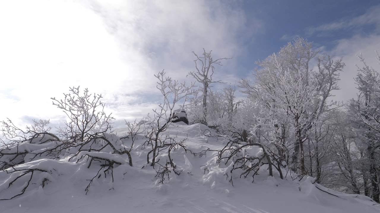 Wind Sounds 2 Hours / Cold Winter Wind Blowing Through Frozen Forest ...