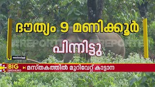 മസ്തകത്തിൽ മുറിവേറ്റ കാട്ടാനയെ കണ്ടെത്താനുള്ള ശ്രമം തുടരുന്നു | Elephant