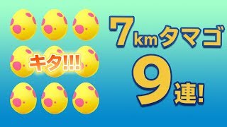 【ポケモンGO】7kmタマゴ9連！地域限定色違いを狙う！