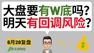 大盘要有W底吗？明天有回调风险？｜8月28号复盘｜凯文讲财经｜QQQ SPY NVDA TSLA AAPL｜cc有字幕