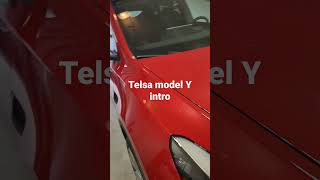 Ugadi roju tesla delivery