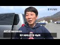 반려의 품격 5화 놀러 간다 그랬잖아요 위험에 빠진 유기견