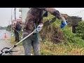 NOBODY we CLEANUP cut OVERGROWN transformation old house 100YAER single gentleman( FULL VIDEO )Part2