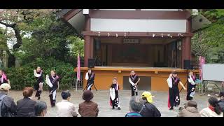 2021.04.04(日) 稲毛神社さくらまつり 夢桜『E-JUNC DANCE』