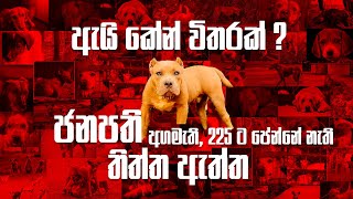 ඇයි කේන් විතරක් ? | Pet Talk