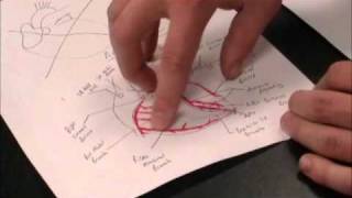 Coronary Arteries Part 1