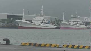 10月17日　2隻の鰹船(Two bonito boats)