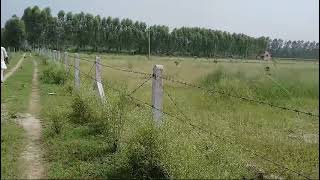 160 Bigha Agriculture land for sale in Cheatpur Biharigad, Saharanpur Uttar Pradesh Tehsil Behat