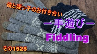 俺と姪っ子のお付き合い－手遊び－その1525 Fiddling