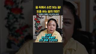 꿈 속에서 소변 보는 꿈! 오줌 싸는 꿈의 의미 ？ 용군TV 강화별상 일월당 #shorts  #점집 #무당 #부천점집 #소변꿈 #오줌싸는꿈 #꿈해몽