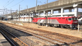 貨物列車 EH500-81牽引 4051レ TOYOTA Long Express 黒磯駅発車　2022/3/5