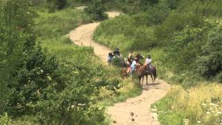 Meeting Horses while on your ATV | Indiana DNR