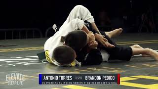 Elevate submission series 9 Pedigo VS Torres