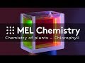 “Chlorophyll“ from the “Chemistry of plants“ set