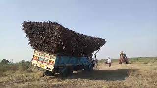 Overload Sugarcane Truck Accident || Ankleshwar ....