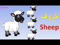 أنشودة أسماء الحيوانات animals عربي وانجليزي