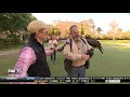 david does it falconry experience