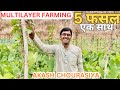 Multilayer farming full details by Shree Akash Chourasiya | जैविक खेती, लागत कम, उत्पादन ज्यादा,