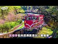 【嘉義】阿里山小火車