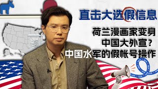 荷兰漫画家变身中国大外宣？中国水军的假帐号操作