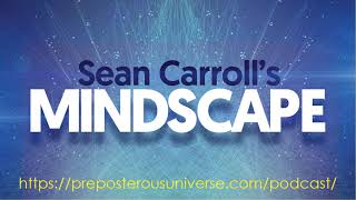 Mindscape Episode 80 | Jenann Ismael on Connecting Physics to the World of Experience