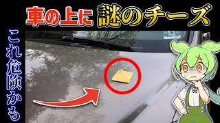 7月7日の海外おもしろB級ニュース【ずんだもん解説】