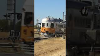 631/731 through Tabletop, bound for Borre Creek  #nswtrains #railway #nswtrainlink #railroad #train