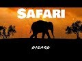 Dizaro - Safari