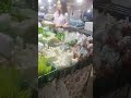 이른 아침 방콕의 한 재래시장의 태국 야채들 thai vegetables at morning market in bangkok 재래시장 streetfood